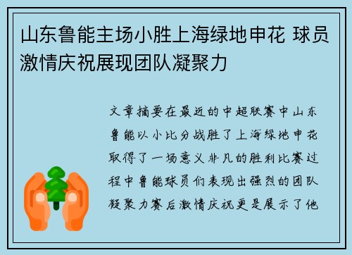 山东鲁能主场小胜上海绿地申花 球员激情庆祝展现团队凝聚力